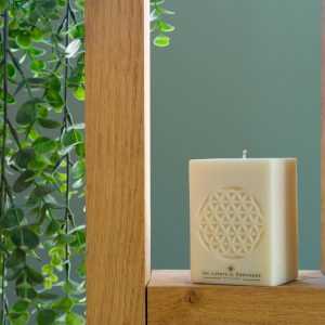 Etincelante Fleur de vie 3