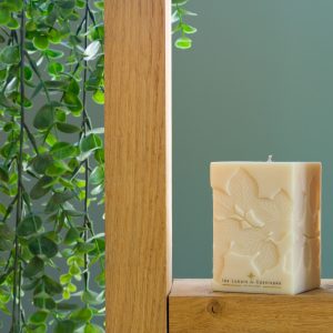 Etincelante Végétale 3